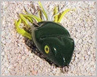 basscapitaltackle1123811