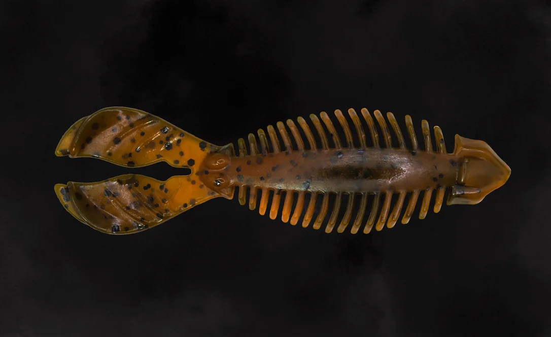 basscapitaltackle1125941