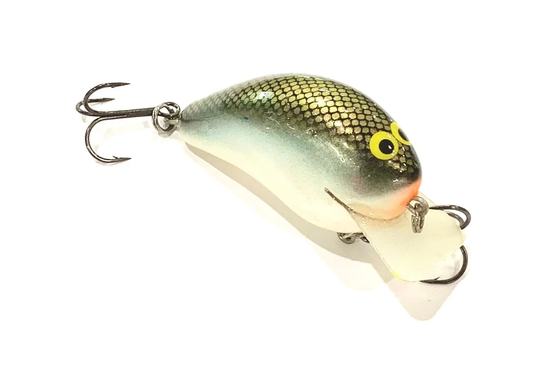 clearlakebaitandtackle1129712