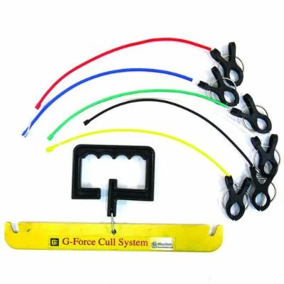 clearlakebaitandtackle1130686