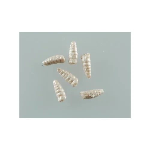 clearlakebaitandtackle1131319