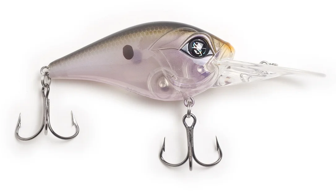 clearlakebaitandtackle1132403
