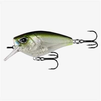 clearlakebaitandtackle1134457