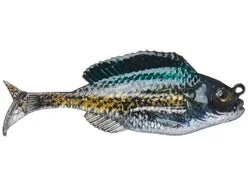 clearlakebaitandtackle1134688