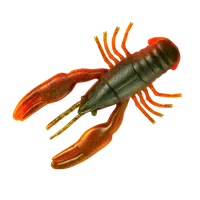 clearlakebaitandtackle1134699