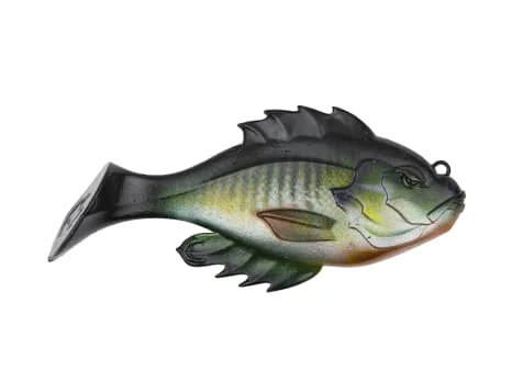 clearlakebaitandtackle1134708