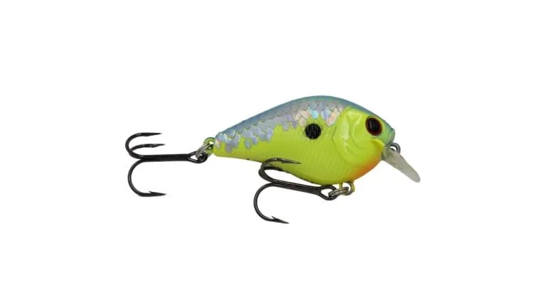 clearlakebaitandtackle1134833