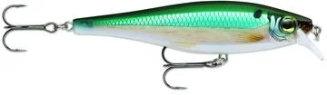 dakotaangler1129176