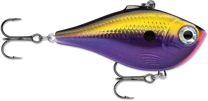 dakotaangler1129185