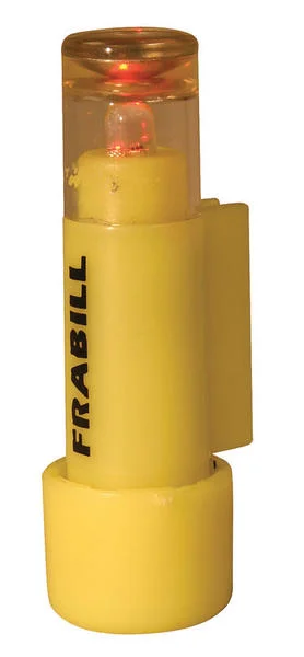 dakotaangler1129417