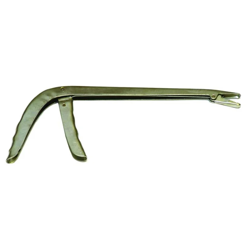 dakotaangler1129960