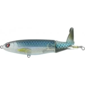 dakotaangler1130136