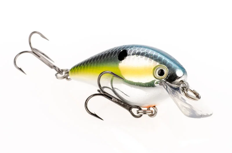dakotaangler1130489
