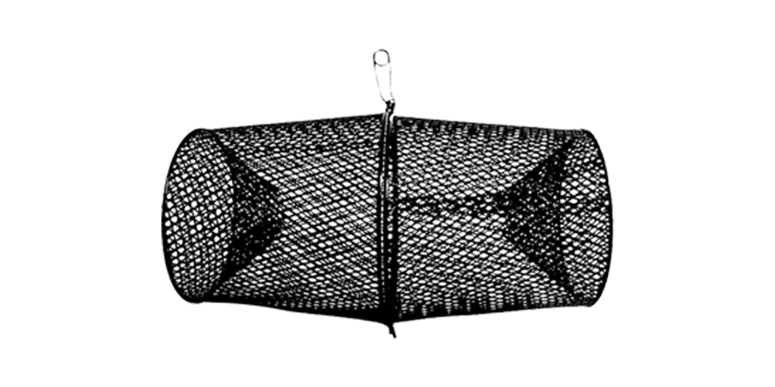 dakotaangler1131705