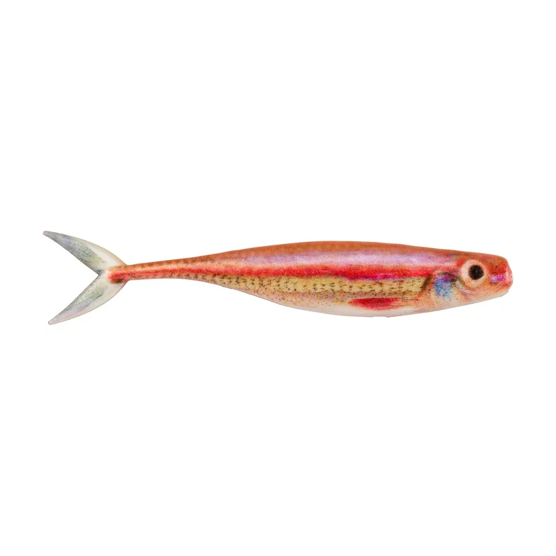 dakotaangler1133492