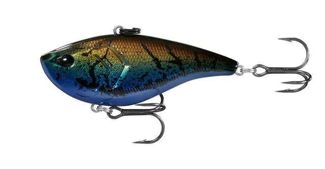 dakotaangler1135303