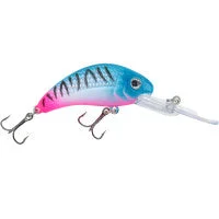 dakotaangler1135606
