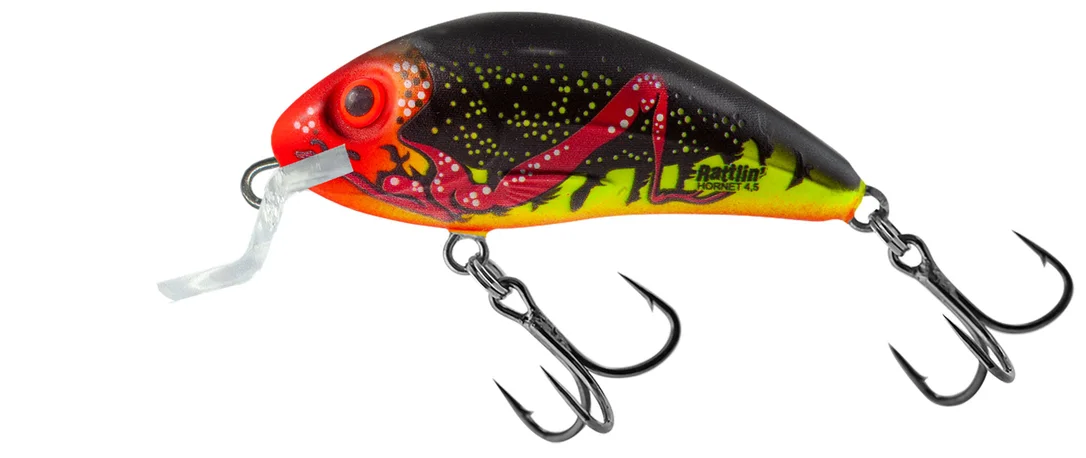 dakotaangler1135695