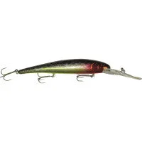 dakotaangler1135724