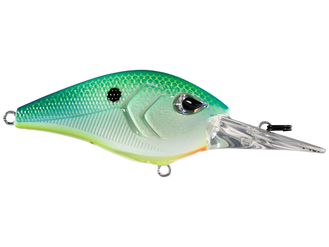 dakotaangler1135814