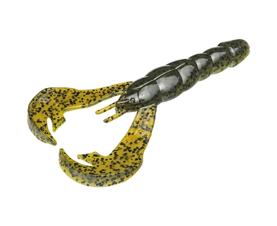 dakotaangler1137122