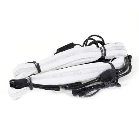 dakotaangler1138039