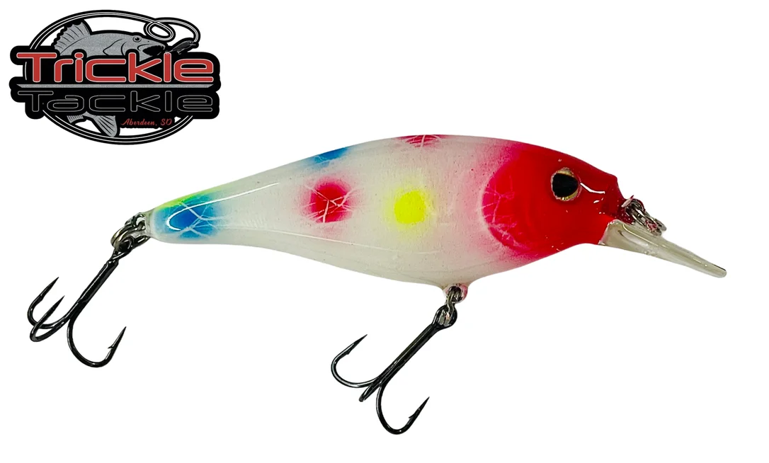 dakotaangler1141203