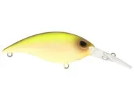 dakotaangler1193931
