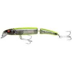 dogfishtacklecompany1151233
