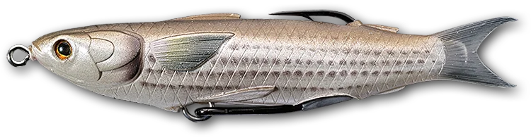 dogfishtacklecompany1153137