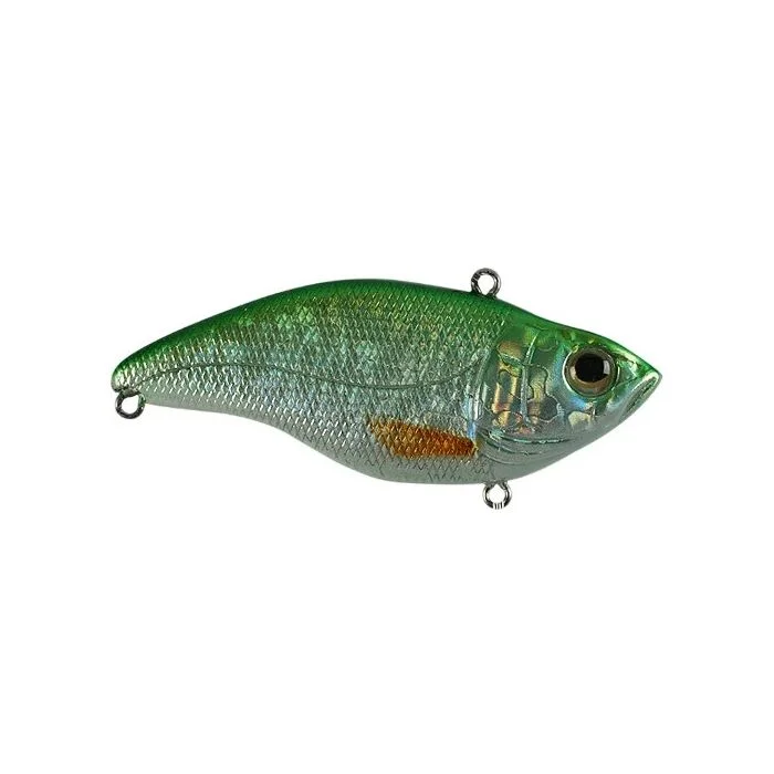 dogfishtacklecompany1154279