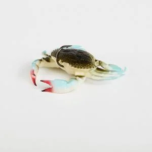 dogfishtacklecompany1155384