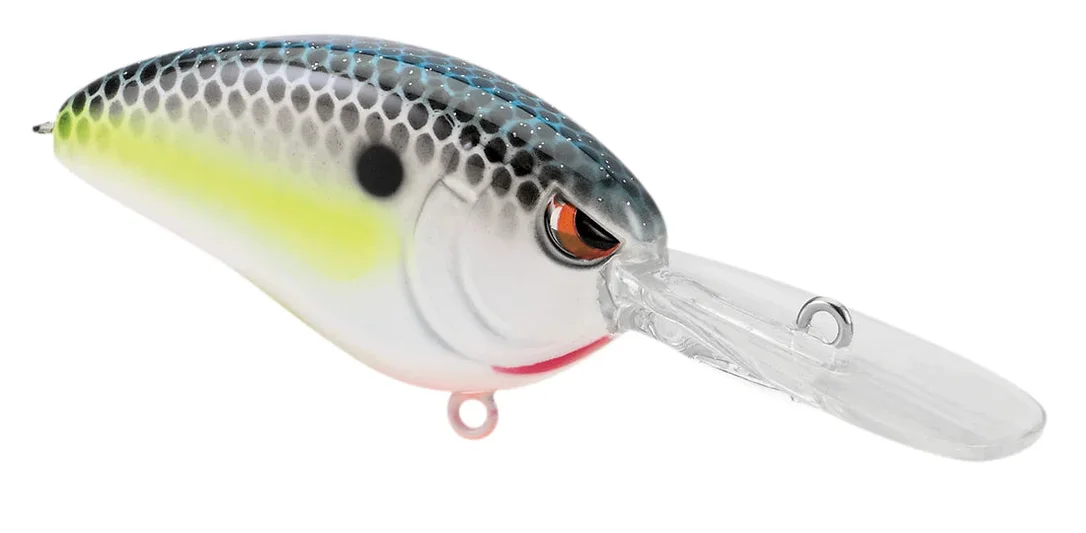 dogfishtacklecompany1158082