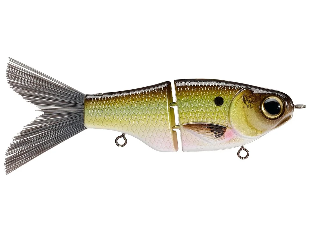 dogfishtacklecompany1164708