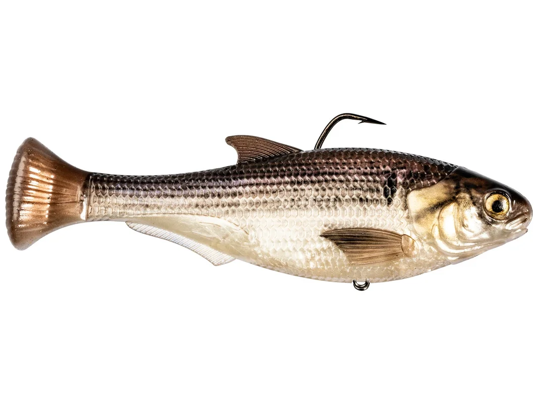 dogfishtacklecompany1182536