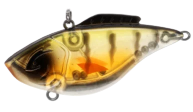 dsfishingspot1114562