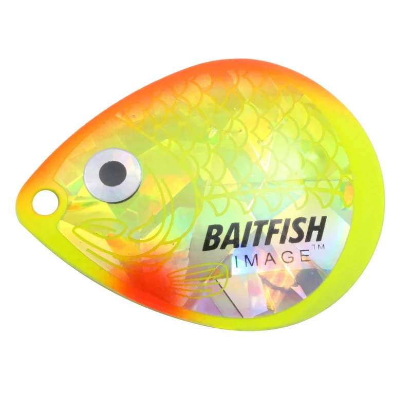 dsfishingspot1114611