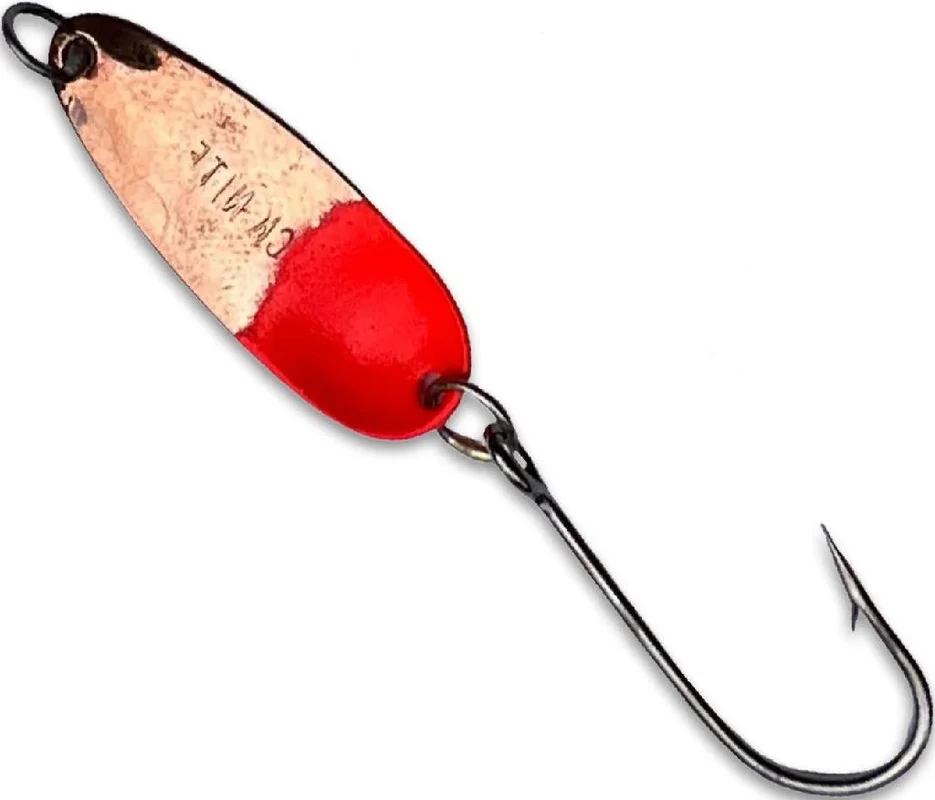 dsfishingspot1115035