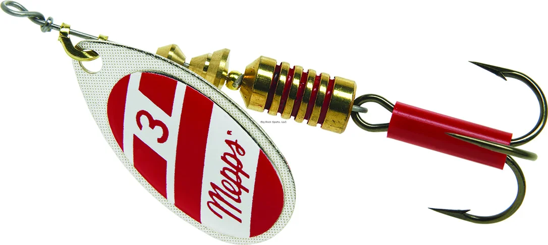 dsfishingspot1115044