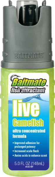 dsfishingspot1115503