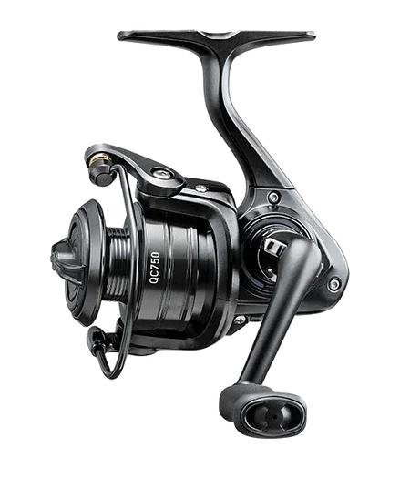 dsfishingspot1117608