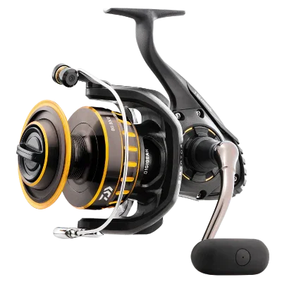 dsfishingspot1117618