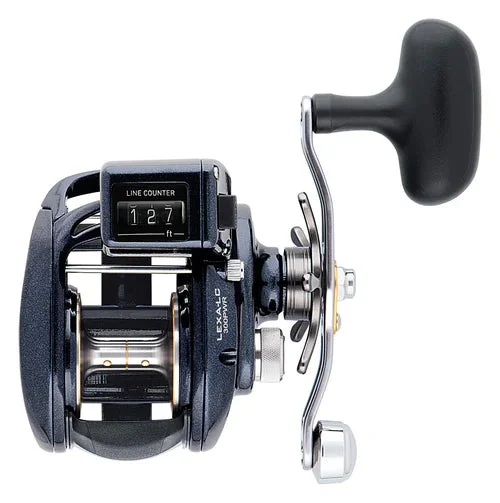 dsfishingspot1117631