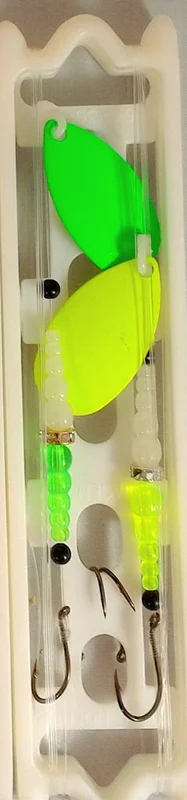 dsfishingspot1118059