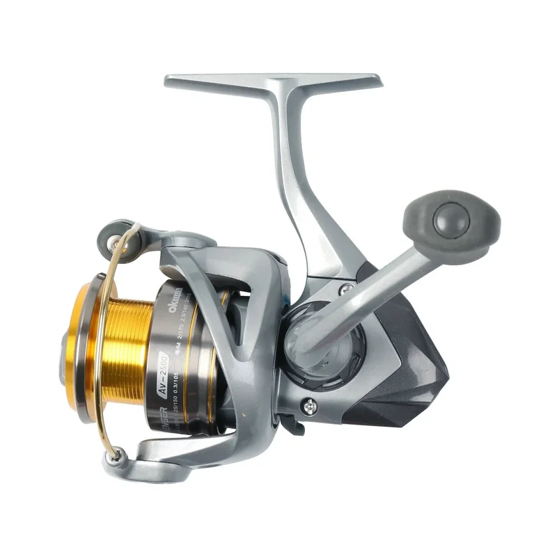 dsfishingspot1118109
