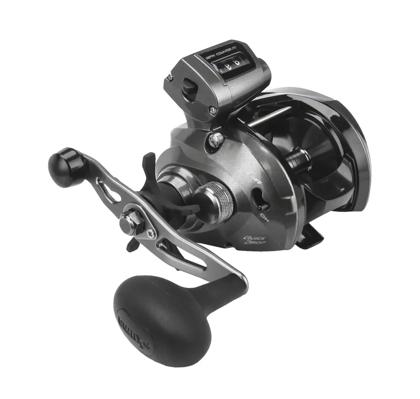 dsfishingspot1118139