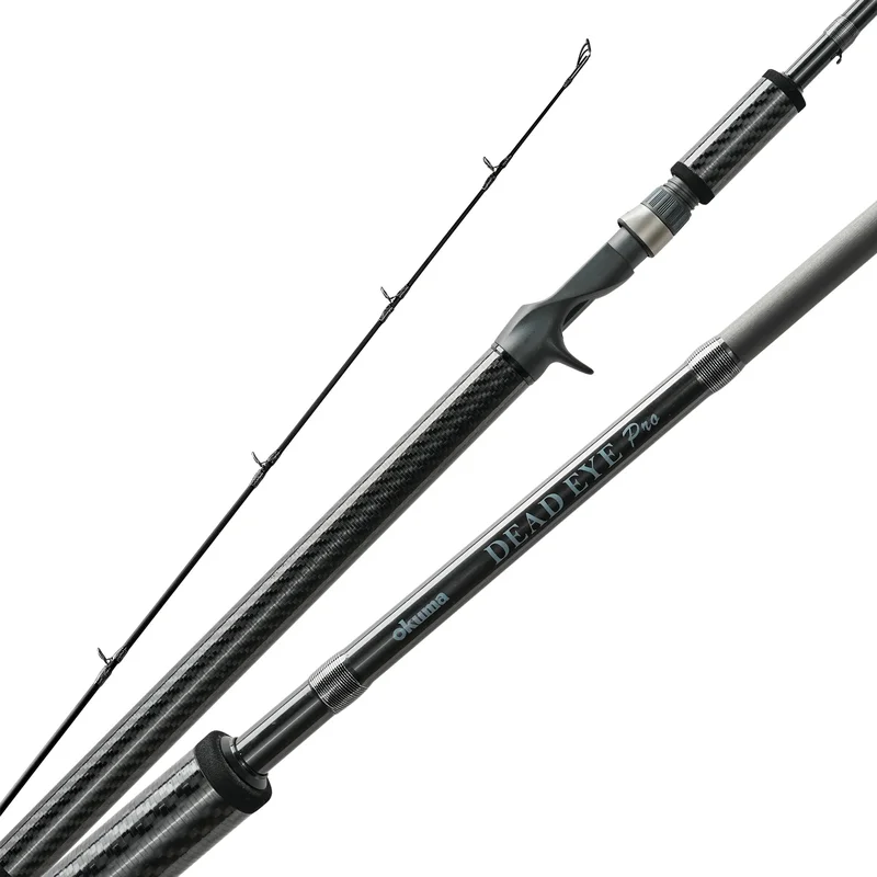 dsfishingspot1118160
