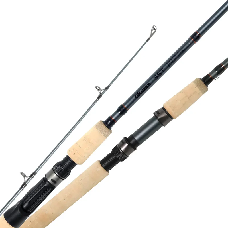 dsfishingspot1118185
