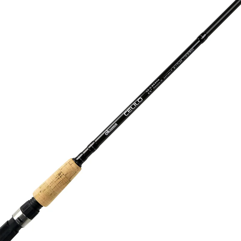 dsfishingspot1118191
