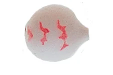 dsfishingspot1118252